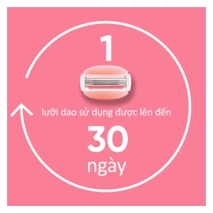 Dao Cạo Nữ Gillette Venus Hoa Trà Trắng Venus Comfortglide White Tea (1 Cán + 2 Đầu Dao)