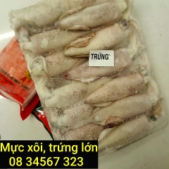 Mực trứng , mực xôi size nhỡ