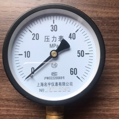 Đồng hồ đo áp suất 60Mpa