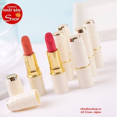 SON CEZANNE LASTING LIP COLOR N 501