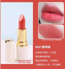 SON CEZANNE LASTING LIP COLOR N 501