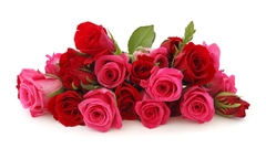 Hộp thơm phòng-thơm toillet 200ml hương hoa hồng - Nhật Bản