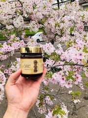 Fucoidan Umino Takaramono - Phòng ngừa và hỗ trợ điều trị UT