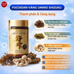 𝐅𝐮𝐜𝐨𝐢𝐝𝐚𝐧 𝐔𝐦𝐢 𝐍𝐨 𝐒𝐡𝐢𝐳𝐮𝐤𝐮  hỗ trợ điều trị ung thư