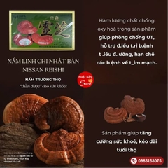 NẤM LINH CHI N𝖨ЅЅАN RЕ𝖨Ѕ𝖧𝖨 Nhật Bản
