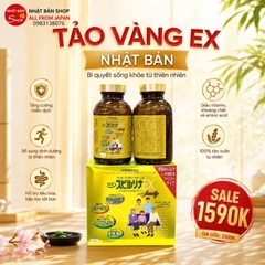 TẢO VÀNG EX NHẬT BẢN