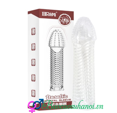 BAO CAO SU ĐÔN DÊN BASALTIC CÓ VÂN