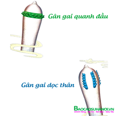 Bao Cao Su Rồng Xanh Pleasure More Gân Gai Khủng Quanh Đầu Hộp 2 Chiếc
