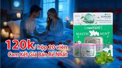 Kẹo Ngậm BJ Phòng The Mastic Mint Chính Hãng Hộp 20 Viên