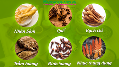 Chai Xịt Sìn Sú Ê Đê Dạng Nước 5ml Chống Xuất Sớm Chính Hãng