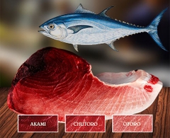 Fillet bụng cá ngừ vây xanh Nhật bản .