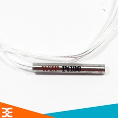 Dây Cảm Biến Nhiệt Độ PT100 WZP