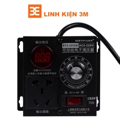 Bộ Điều Khiển Tốc Độ Động Cơ 220VAC WBT-4KW