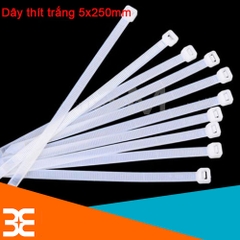 Dây Thít, Dây Buộc, Dây Lạt Nhựa 5x250mm ( Túi 250 Sợi )