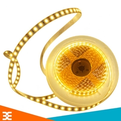 Đèn LED Dây Dán 12V SMD 2835 3 Chế Độ Màu (Bán Theo Mét - 120 mắt LED/ m)
