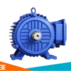Động cơ 3 pha 0.75KW 2800rpm