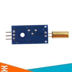 Module Cảm Biến Góc Nghiêng 1 Kênh SW520 (Tilt Sensor)