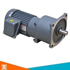Motor giảm tốc GV22-200W-50S 0.2kW 1/50 (28 Vòng/phút)