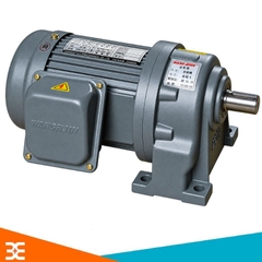 Motor giảm tốc GV22-200W-50S 0.2kW 1/50 (28 Vòng/phút)