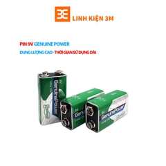 Pin 9V Genuine Power