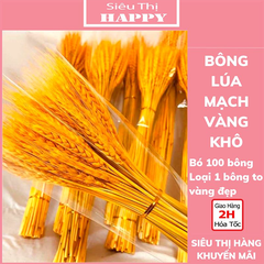 Bó 100 Bông lúa mạch vàng khô chưng ngàn năm không héo - NC&ĐS