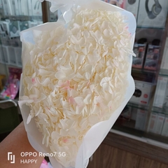 [Mua 1 tặng 1] Hộp Hoa Cẩm Tú Cầu Khô 15gr, trang trí nail, resin, handmade  - NC&ĐS