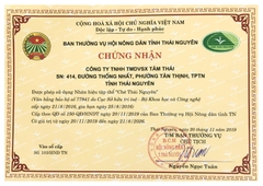 Trà Nõn Tôm Cao Cấp Tân Cương, Thái Nguyên Hộp 200g - Trà An Nhiên Hộp 200g( 2 gói 100g)