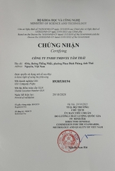 Trà Nõn Tôm Cao Cấp Tân Cương, Thái Nguyên Hộp 200g - Trà An Nhiên Hộp 200g( 2 gói 100g)