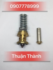 Ruột van tiết lưu cho TE2, TE5, TE12, TE20, TE55