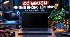 Laptop Có Nguồn Nhưng Không Lên Hình: Lỗi Màn, RAM Hay Main?