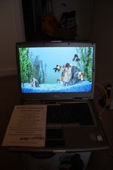 MAin  Dell Precision M60 M50