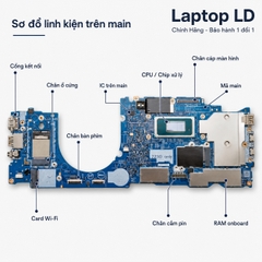 Main Dell Latitude 5350 2 trong 1 | CPU Ultra 5 135U | 223102-1