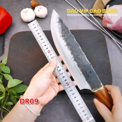 Dụng cụ dã ngoại nhíp xe có vỏ- DR09 DAO VIP CAO BẰNG