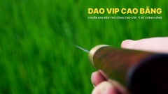 Dao lọc thịt DL09 DAO VIP CAO BẰNG