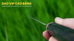 Dao lọc thép trắng cao cấp CL10 DAO VIP CAO BẰNG