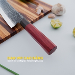 Dao thái lọc Nhíp Xe N16TN an toàn, hàng chuẩn CHÍNH HÃNG CỦA DAO VIP CAO BẰNG