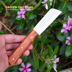 Dao ghép cành thép trắng bản lớn - DRTK