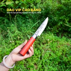 Dao lọc thái Dl13H chất lượng, an toàn, vệ sinh, HÀNG CHUẨN CỦA DAO VIP CAO BẰNG