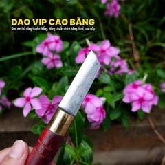 Dao ghép cành cao cấp nhíp xe DRGT