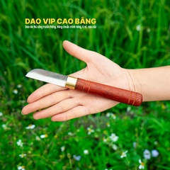Dao ghép cành cao cấp nhíp xe DGCH