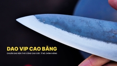 Dao thái lọc cao cấp DN21, rèn thủ công, HÀNG CHUẨN CỦA DAO VIP CAO BẰNG