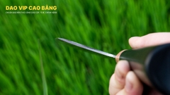 Dao chặt gà vịt CG08 DAO VIP CAO BẰNG