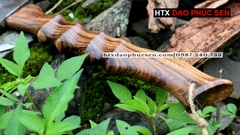 Đồ cắm trại - R02