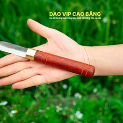 Dao ghép cành cao cấp nhíp xe DGCH
