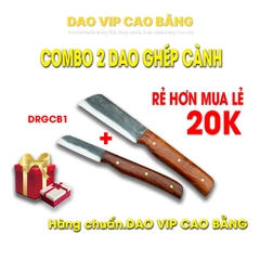 Combo 2 dao ghép cành DRGCB1