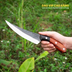Dao lọc thái G11Q chất lượng, an toàn, vệ sinh, HÀNG CHUẨN CỦA DAO VIP CAO BẰNG