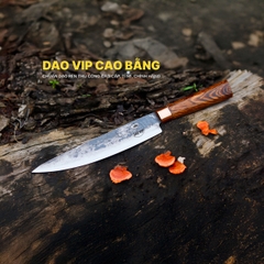 DAO PHILE KIỂU 03 khâu đồng đỏ N05DD DAO VIP CAO BẰNG