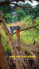 Rìu đi rừng họa tiết trống đồng R09 DAO VIP CAO BẰNG