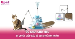 ĐỒ CHƠI CHO MÈO - BÍ QUYẾT GIÚP CÁC BÉ VUI KHOẺ MỖI NGÀY!