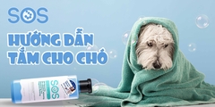 Hướng dẫn sử dụng sữa tắm SOS cho chó